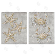 Patti Bishop | Grey Starfish & Crab Drawing