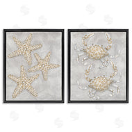 Patti Bishop | Grey Starfish & Crab Drawing
