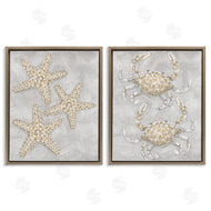 Patti Bishop | Grey Starfish & Crab Drawing