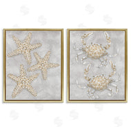 Patti Bishop | Grey Starfish & Crab Drawing