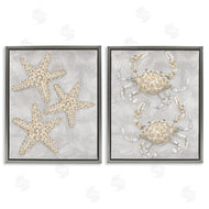 Patti Bishop | Grey Starfish & Crab Drawing