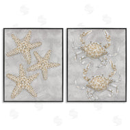 Patti Bishop | Grey Starfish & Crab Drawing