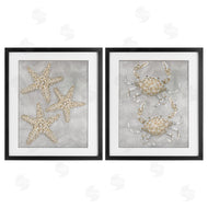 Patti Bishop | Grey Starfish & Crab Drawing