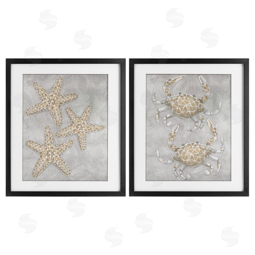 Patti Bishop | Grey Starfish & Crab Drawing