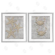 Patti Bishop | Grey Starfish & Crab Drawing