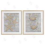 Patti Bishop | Grey Starfish & Crab Drawing