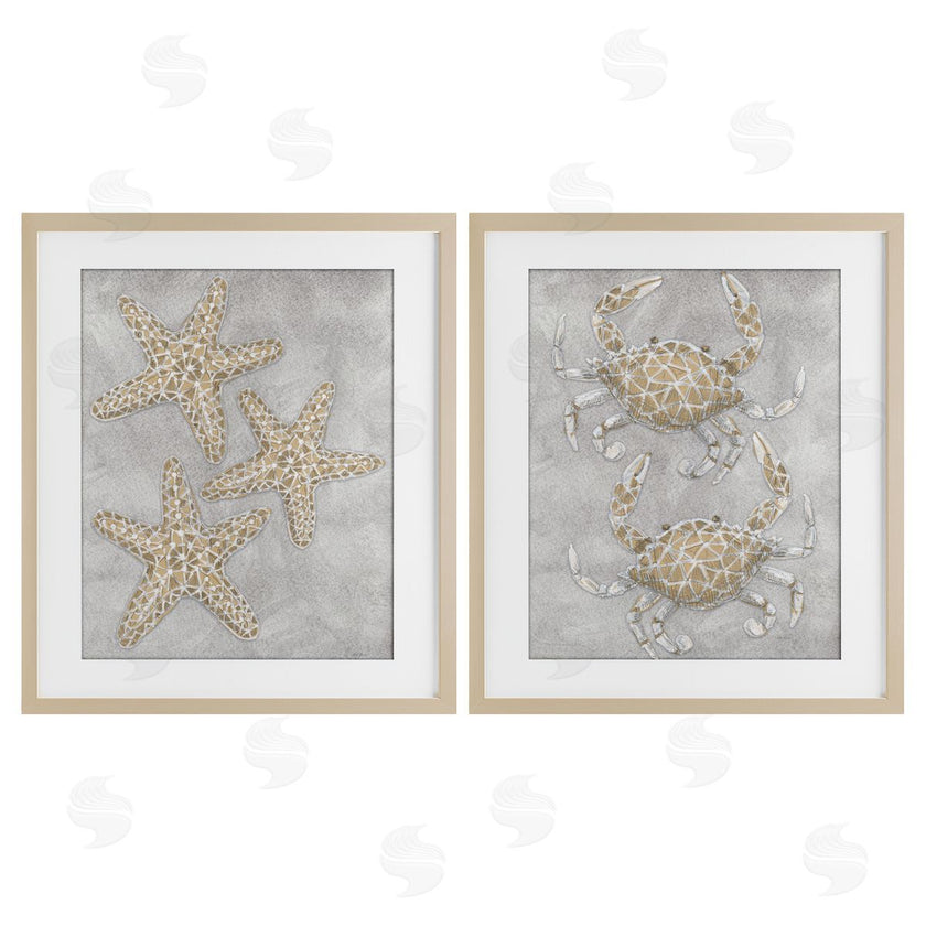Patti Bishop | Grey Starfish & Crab Drawing