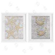 Patti Bishop | Grey Starfish & Crab Drawing