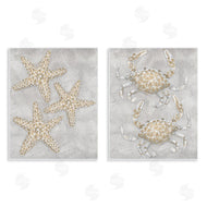 Patti Bishop | Grey Starfish & Crab Drawing