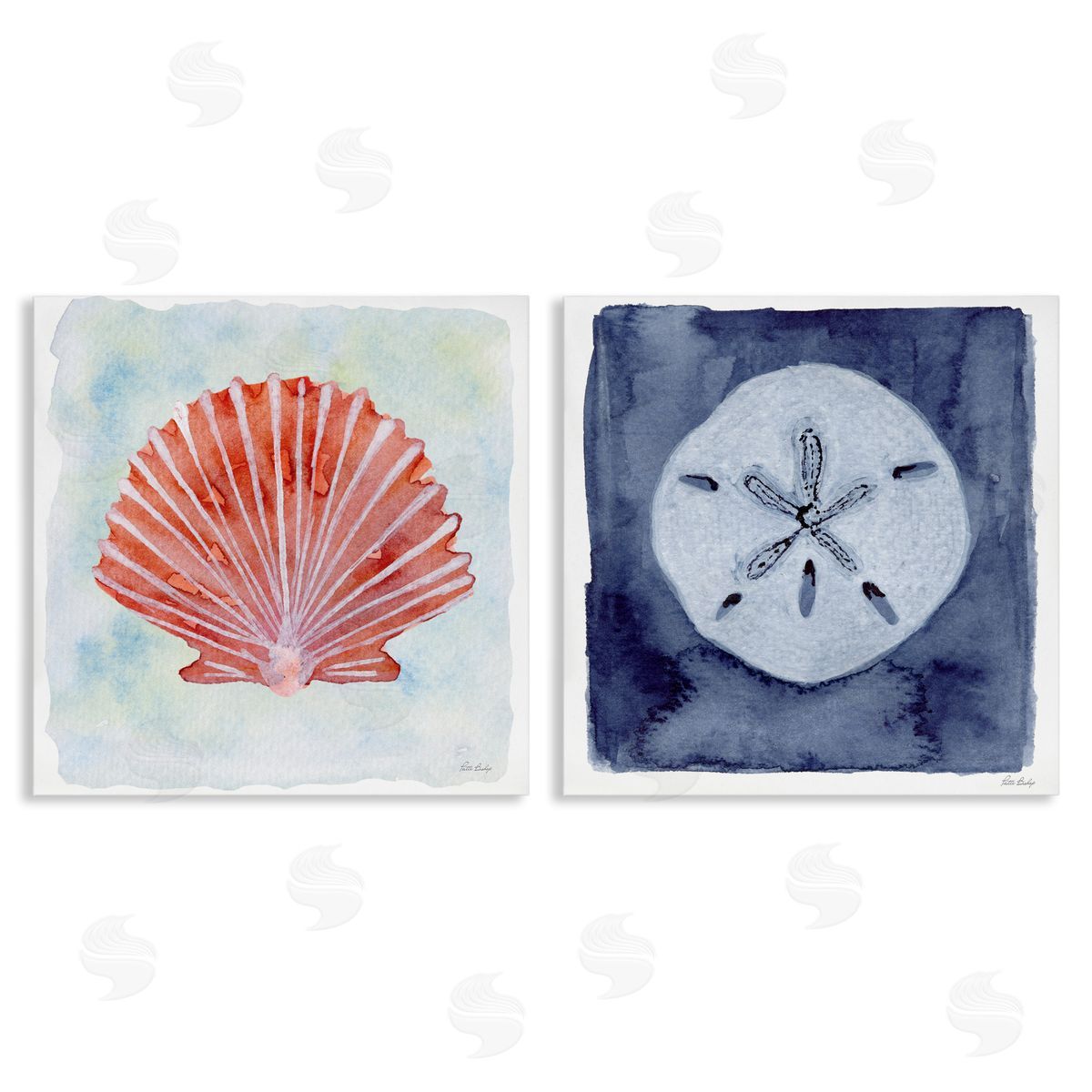 Patti Bishop Peach Scallop & White Sand Dollar Canvas Wall Art Print