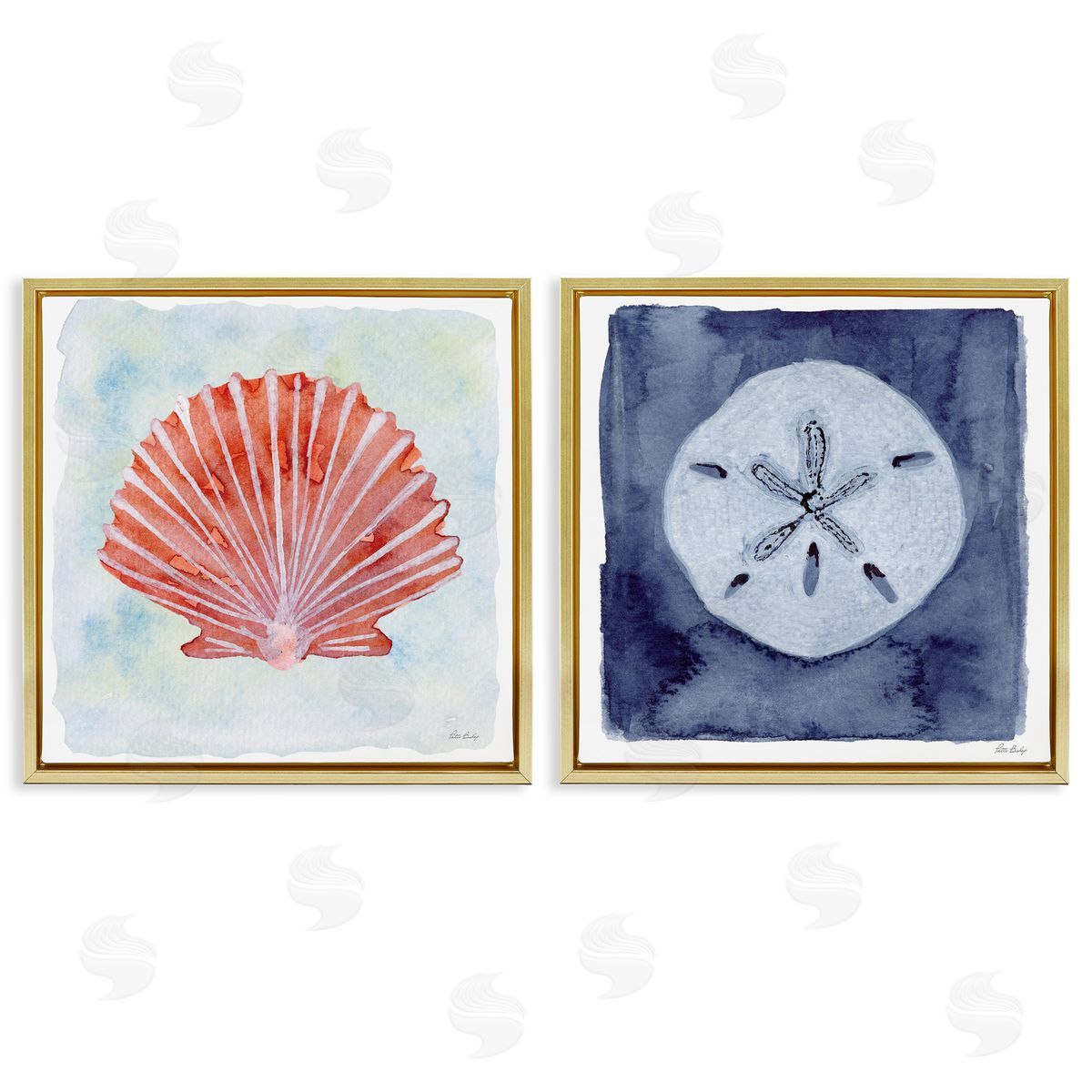 Patti Bishop Peach Scallop & White Sand Dollar Canvas Wall Art Print