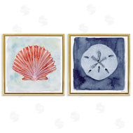 Patti Bishop | Peach Scallop & White Sand Dollar