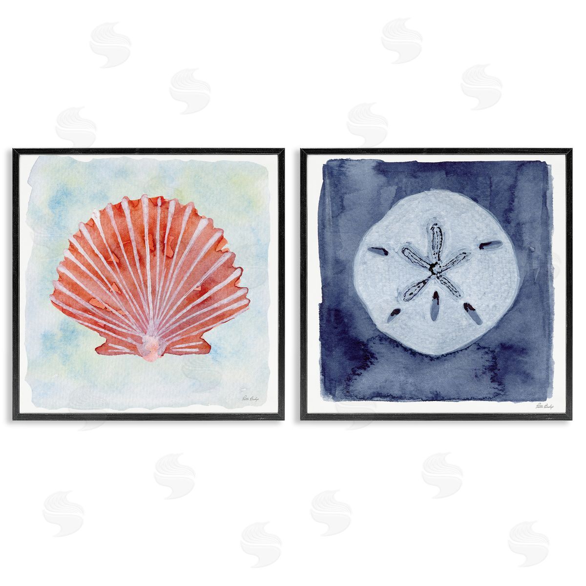 Patti Bishop Peach Scallop & White Sand Dollar Canvas Wall Art Print