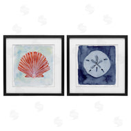 Patti Bishop | Peach Scallop & White Sand Dollar
