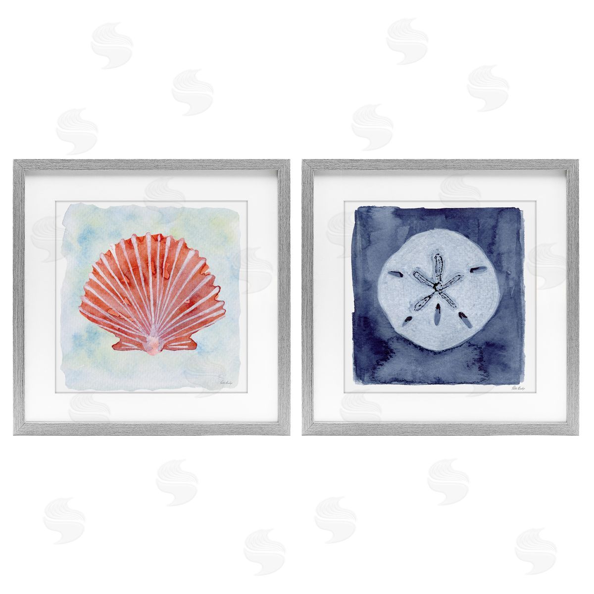Patti Bishop Peach Scallop & White Sand Dollar Canvas Wall Art Print