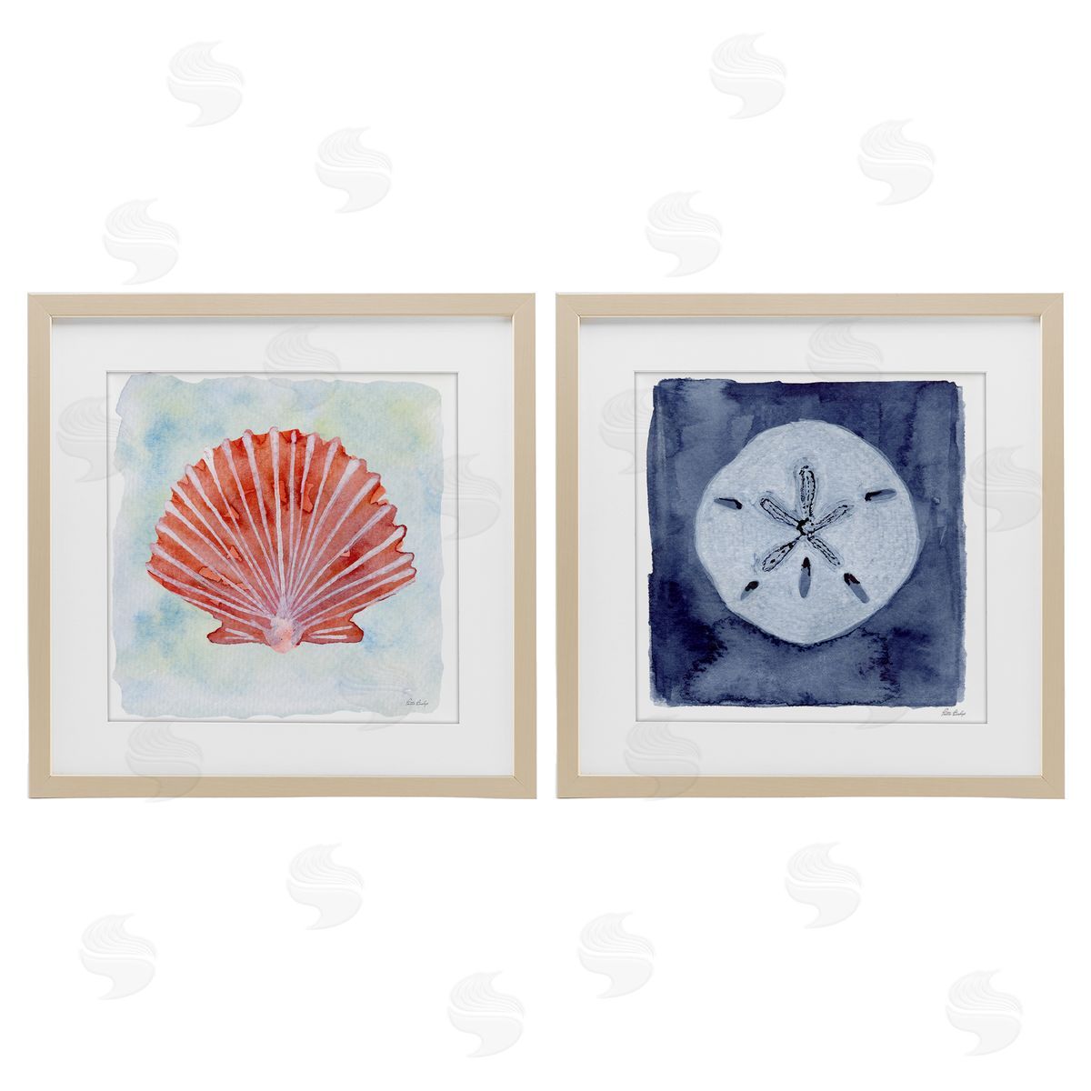 Patti Bishop Peach Scallop & White Sand Dollar Canvas Wall Art Print