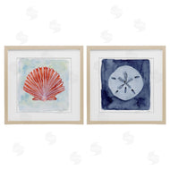 Patti Bishop | Peach Scallop & White Sand Dollar