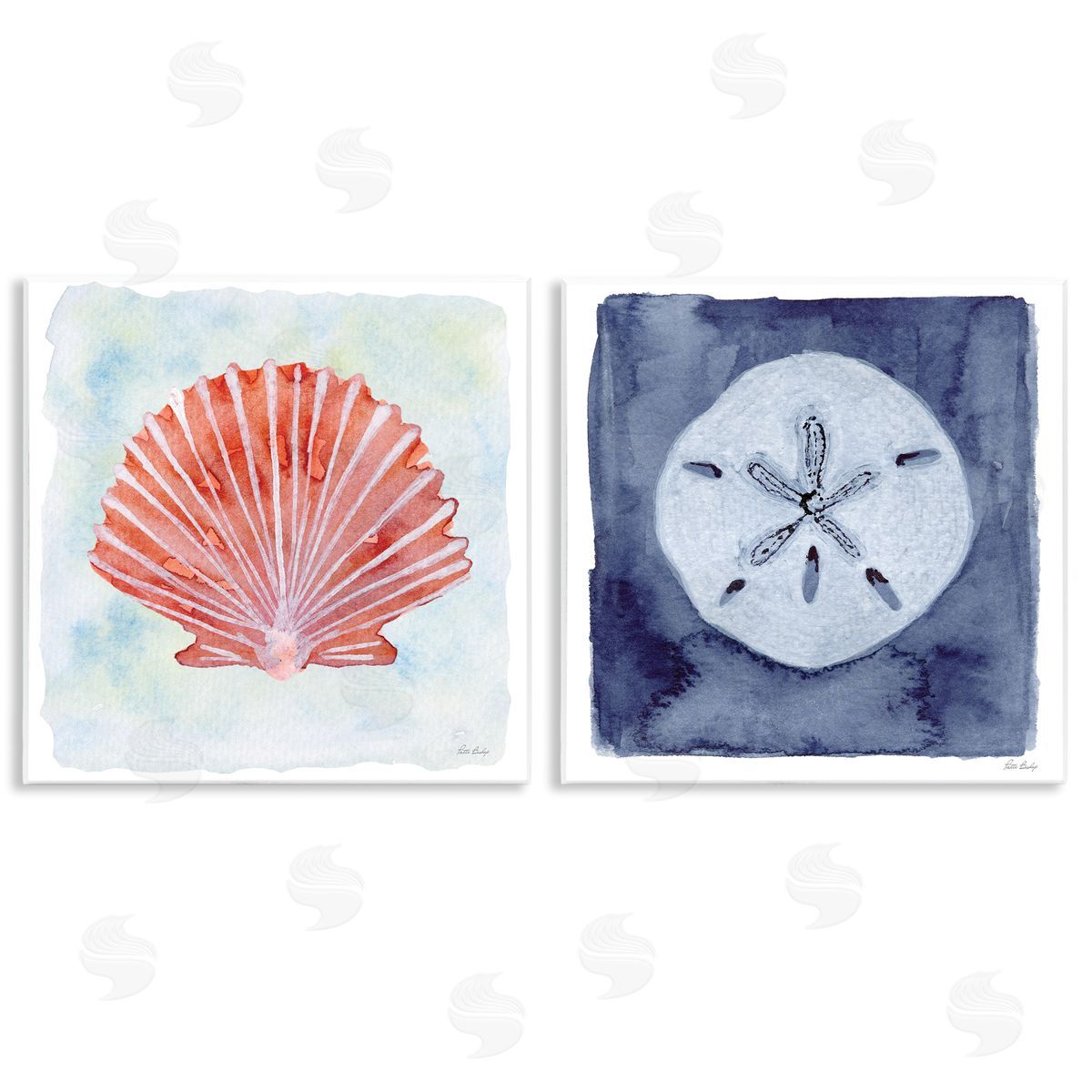 Patti Bishop Peach Scallop & White Sand Dollar Canvas Wall Art Print