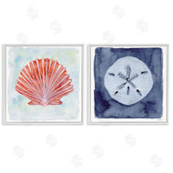 Patti Bishop | Peach Scallop & White Sand Dollar