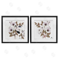 Joan Davis | Close Prayers White Flowers