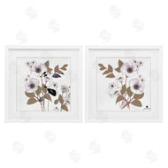 Joan Davis | Close Prayers White Flowers
