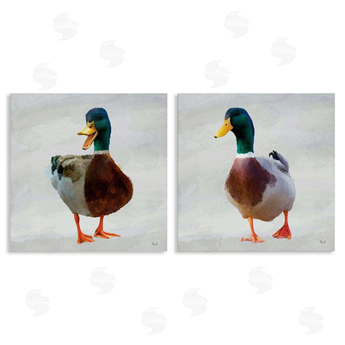 Renel Peters Pair of Squawking Ducks Canvas Wall Art Print