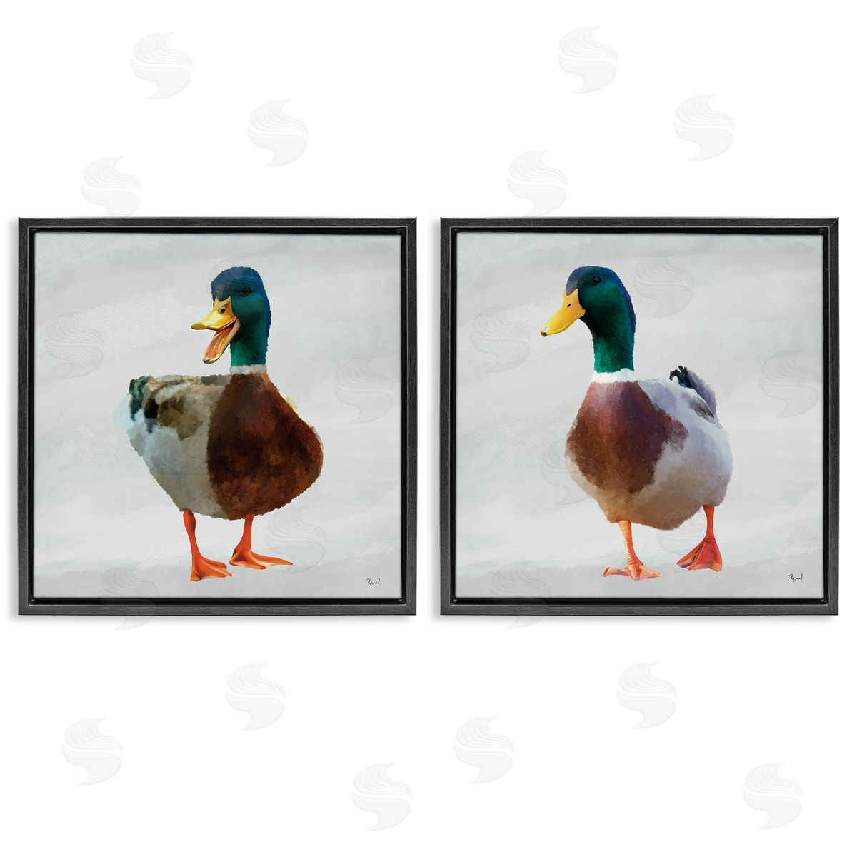 Renel Peters Pair of Squawking Ducks Canvas Wall Art Print