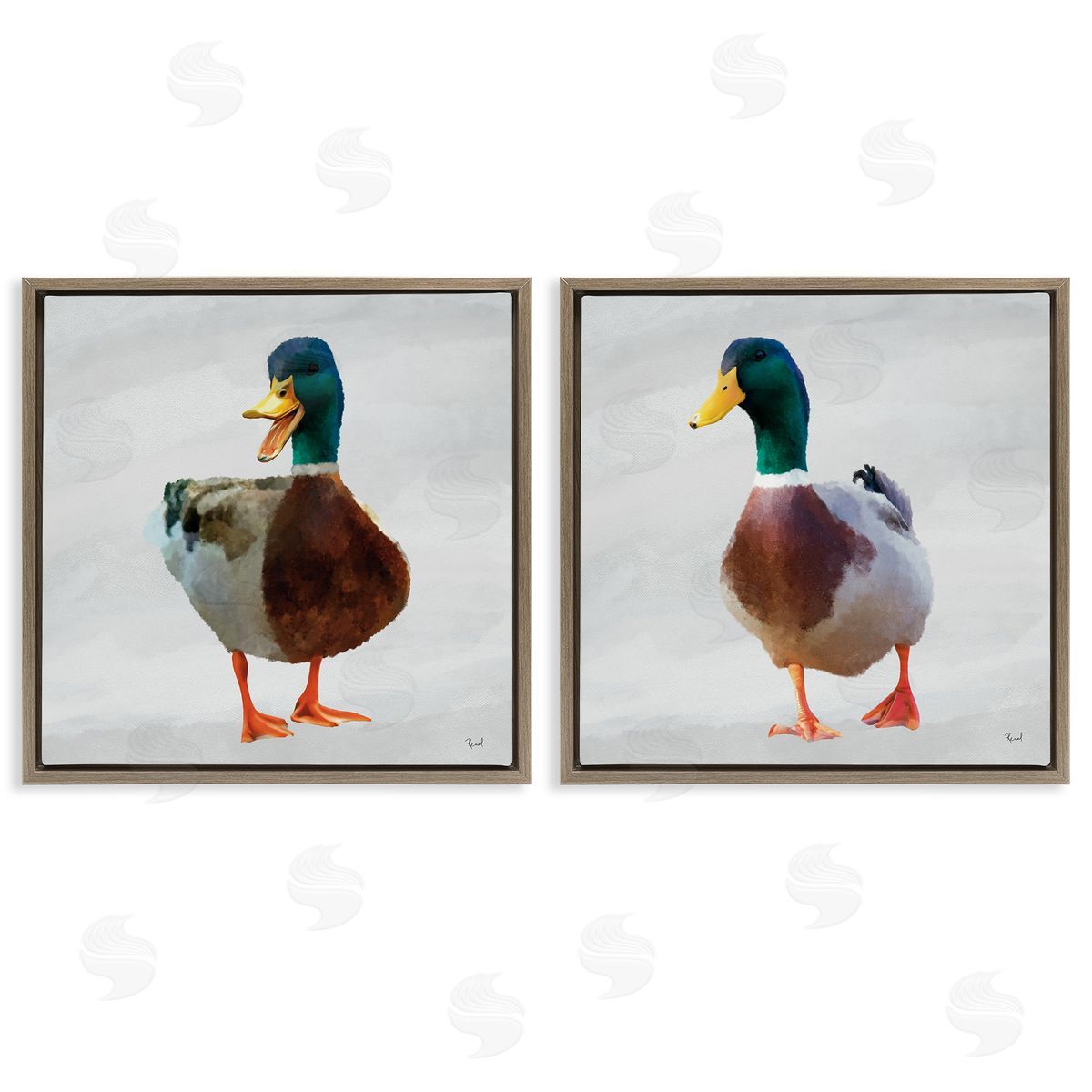 Renel Peters Pair of Squawking Ducks Canvas Wall Art Print