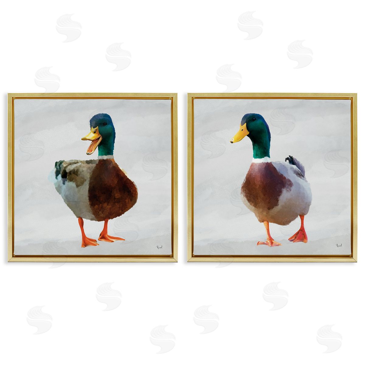 Renel Peters Pair of Squawking Ducks Canvas Wall Art Print