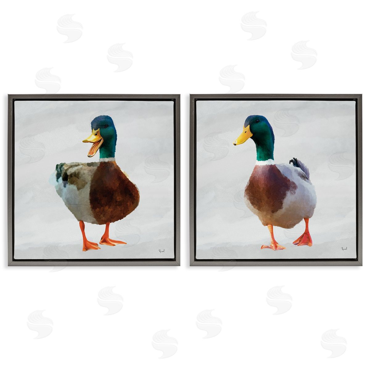 Renel Peters Pair of Squawking Ducks Canvas Wall Art Print
