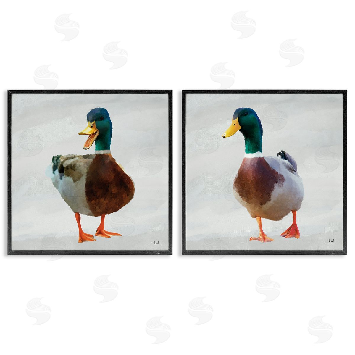 Renel Peters Pair of Squawking Ducks Canvas Wall Art Print