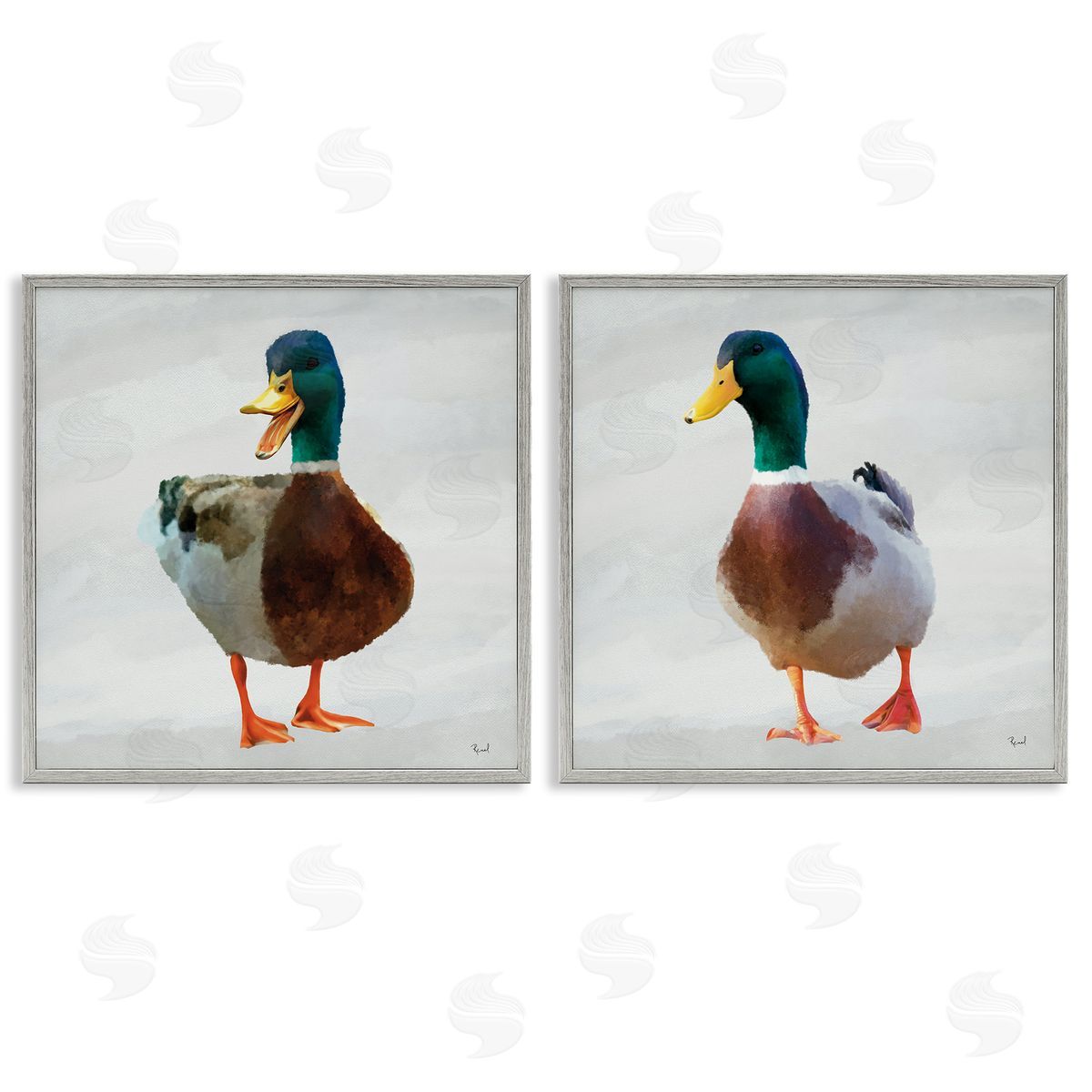 Renel Peters Pair of Squawking Ducks Canvas Wall Art Print