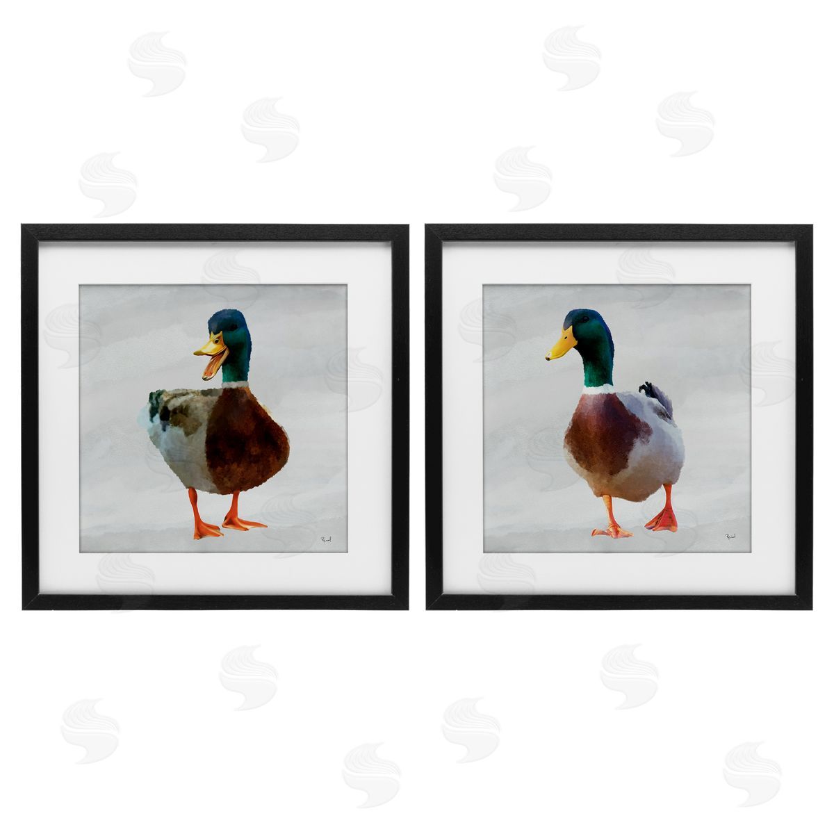 Renel Peters Pair of Squawking Ducks Canvas Wall Art Print