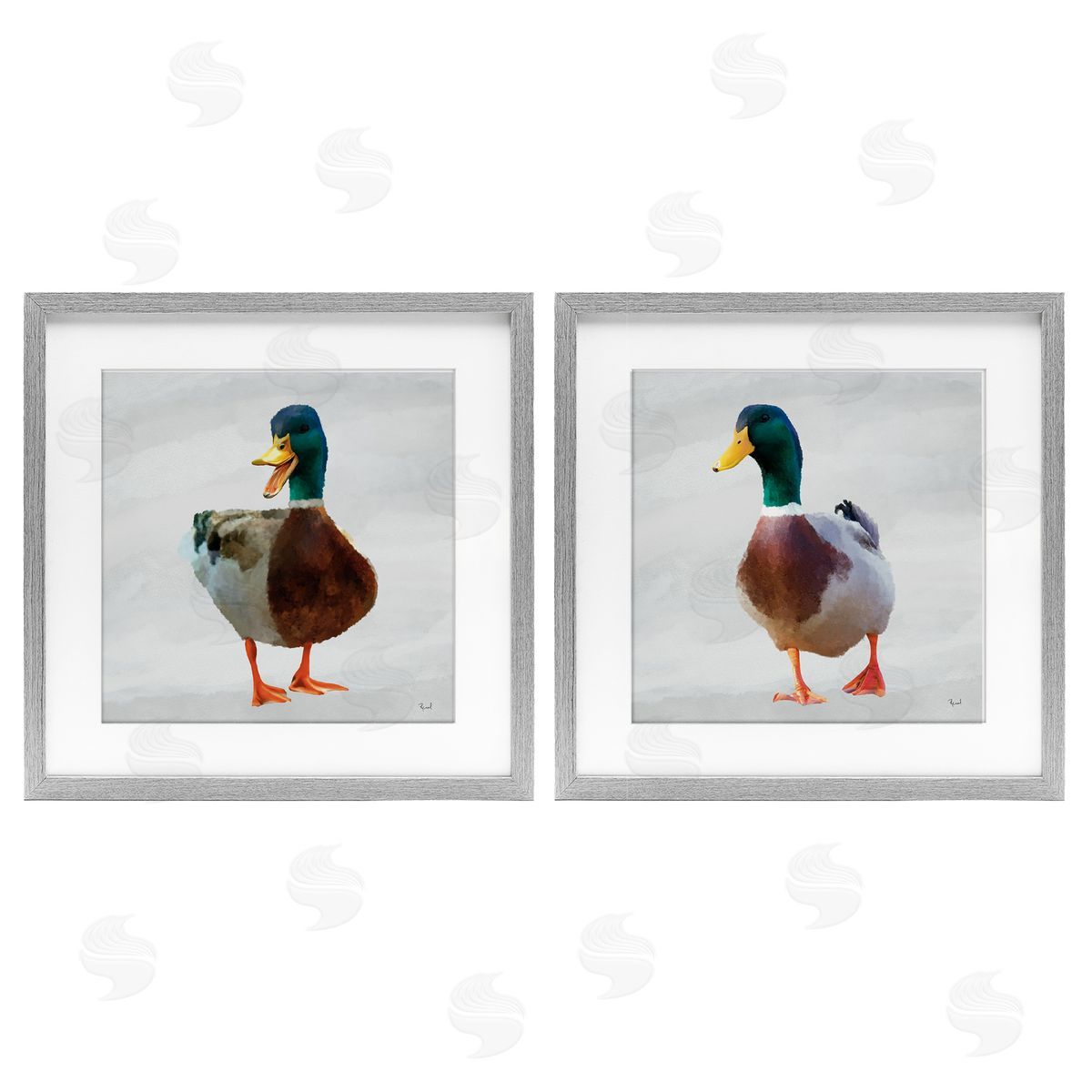Renel Peters Pair of Squawking Ducks Canvas Wall Art Print