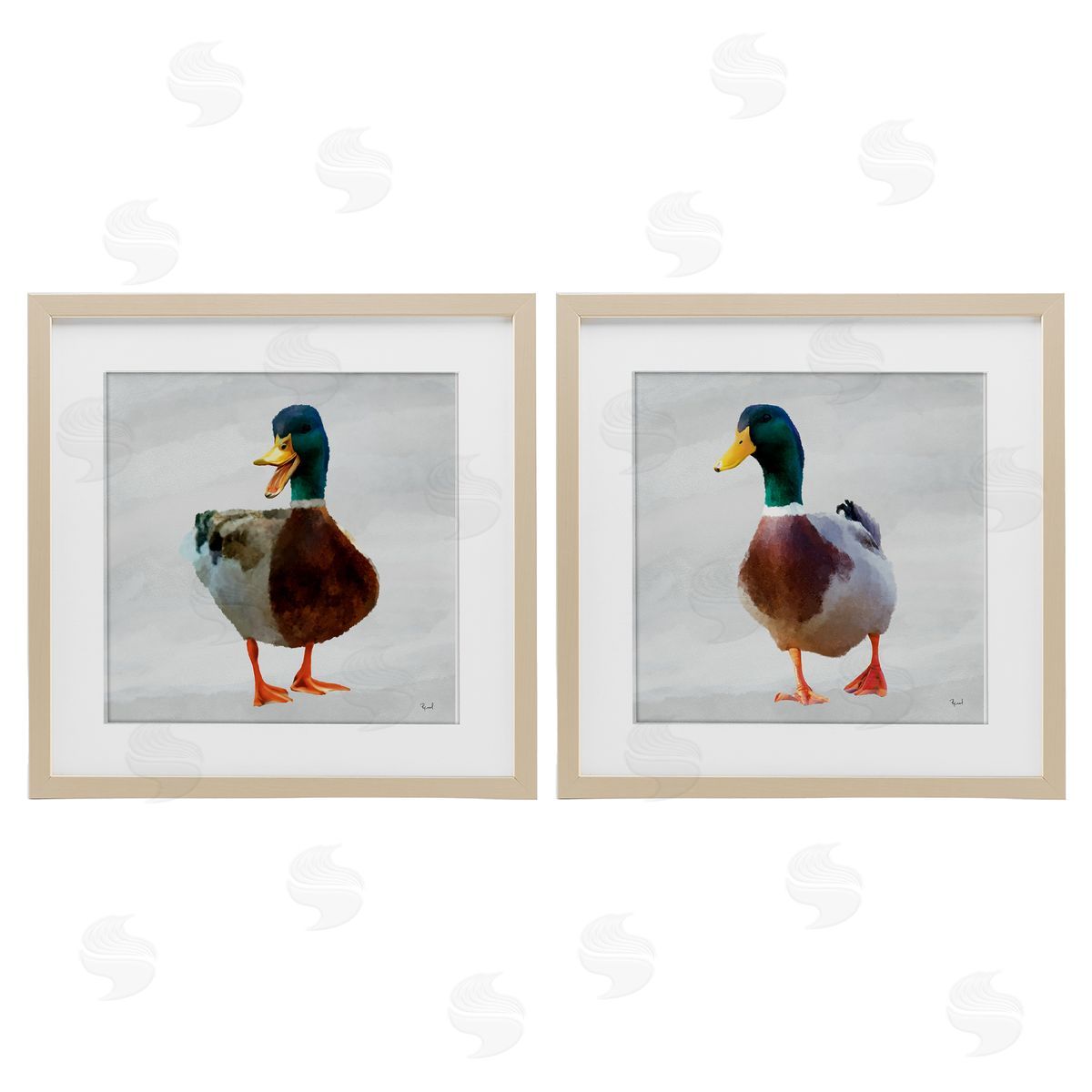 Renel Peters Pair of Squawking Ducks Canvas Wall Art Print