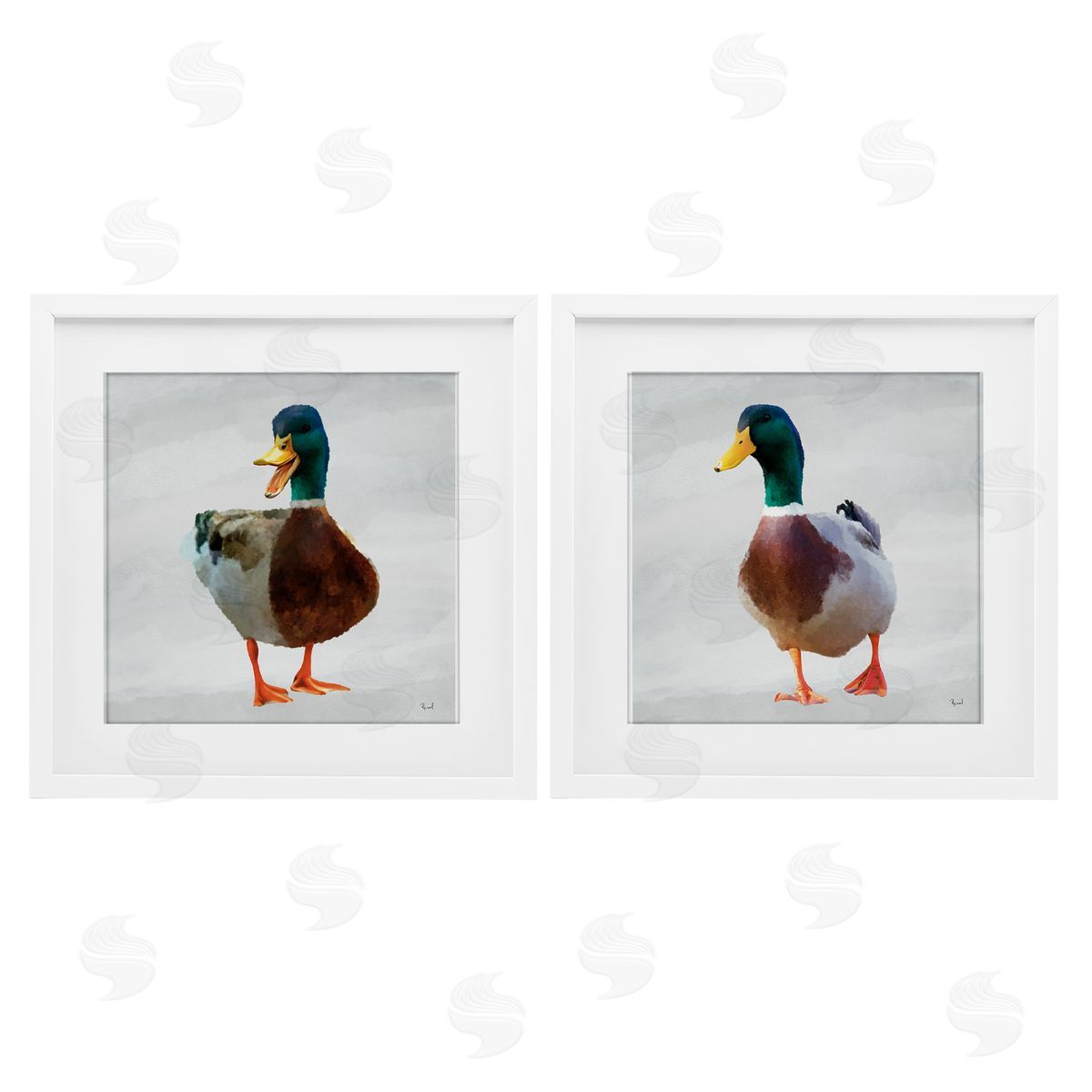 Renel Peters Pair of Squawking Ducks Canvas Wall Art Print