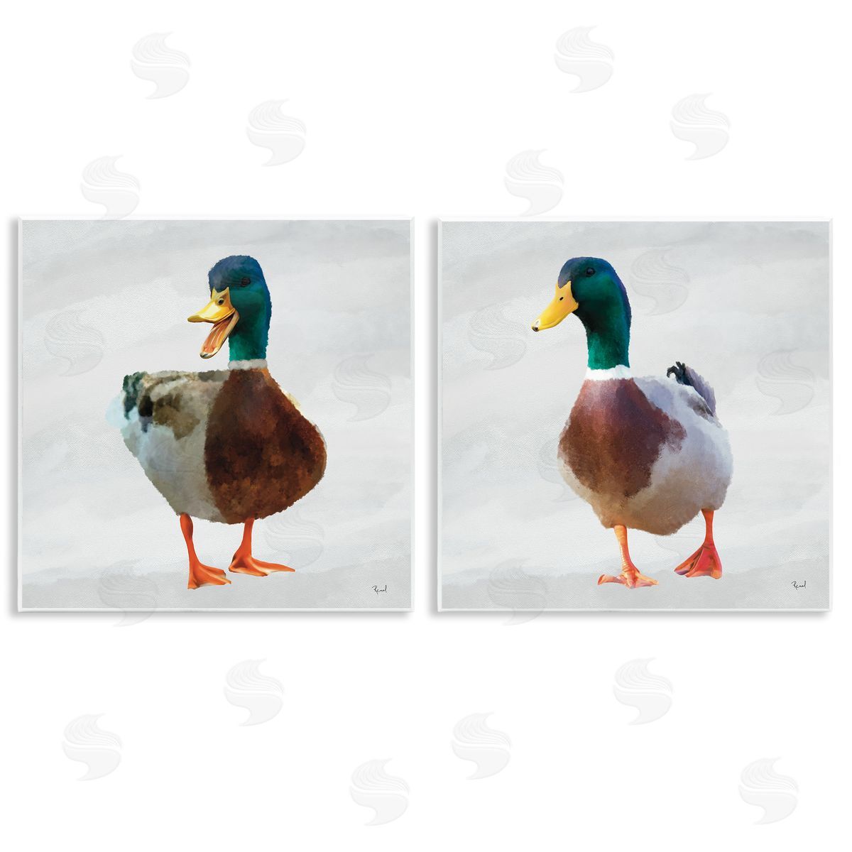Renel Peters Pair of Squawking Ducks Canvas Wall Art Print