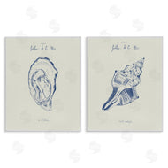 1x | Oyster & Conch with French Words