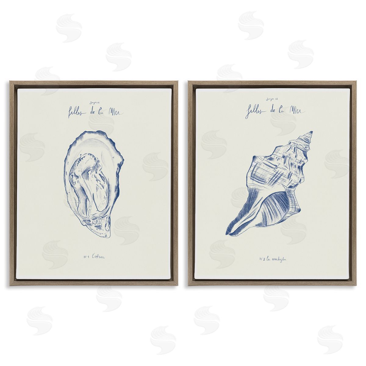 1x Oyster & Conch with French Words Canvas Wall Art Print