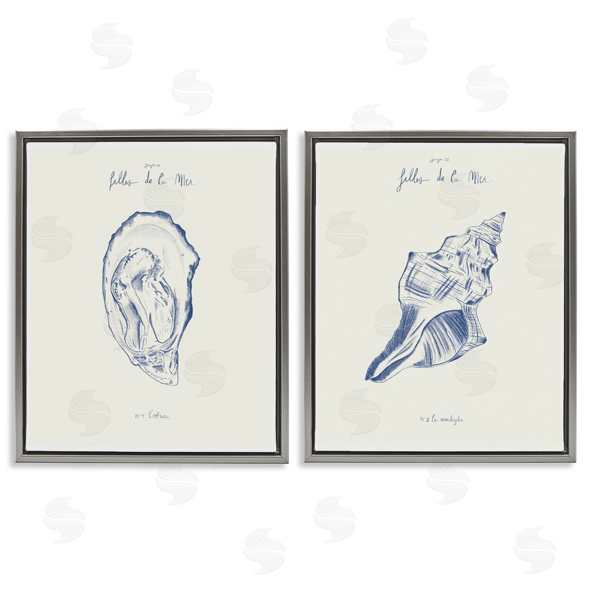 1x Oyster & Conch with French Words Canvas Wall Art Print