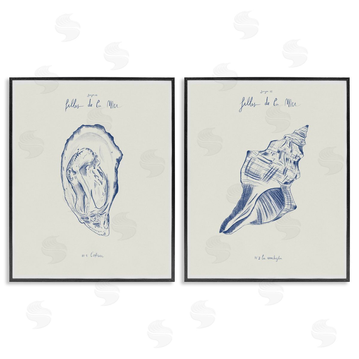 1x Oyster & Conch with French Words Canvas Wall Art Print