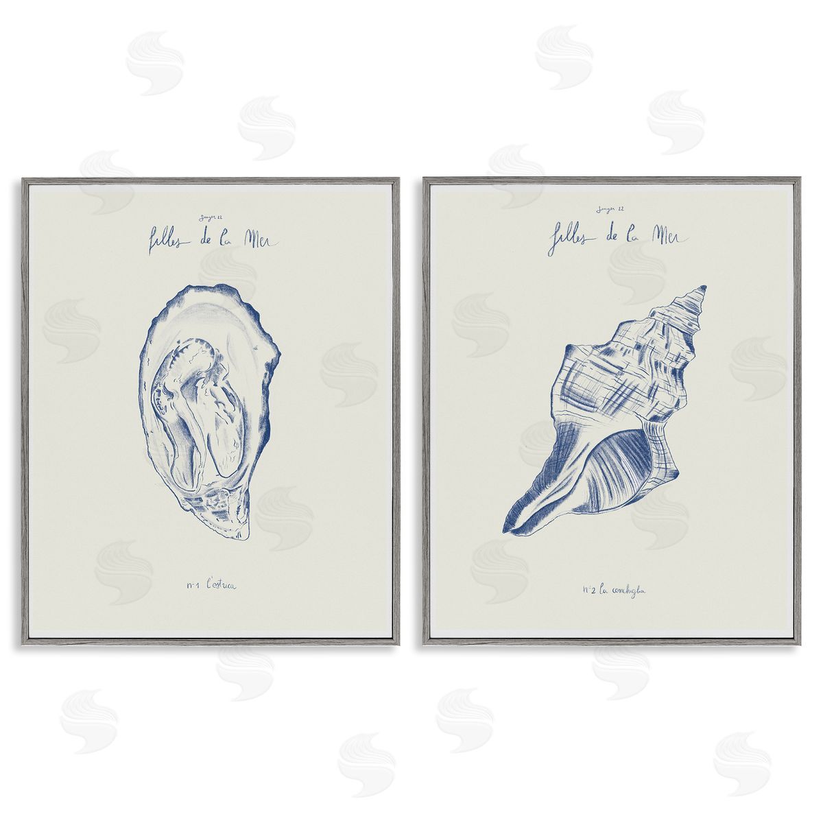 1x Oyster & Conch with French Words Canvas Wall Art Print
