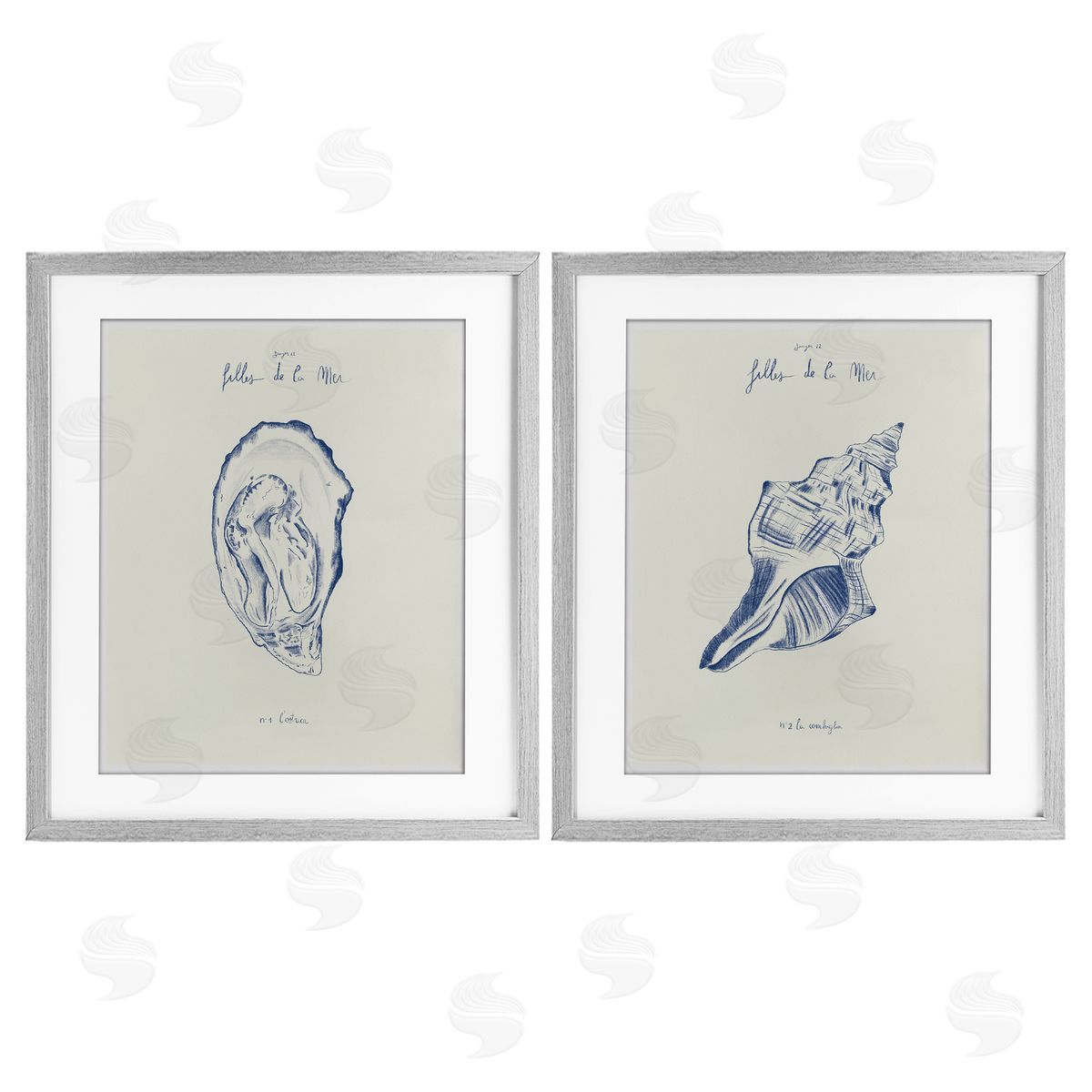 1x Oyster & Conch with French Words Canvas Wall Art Print