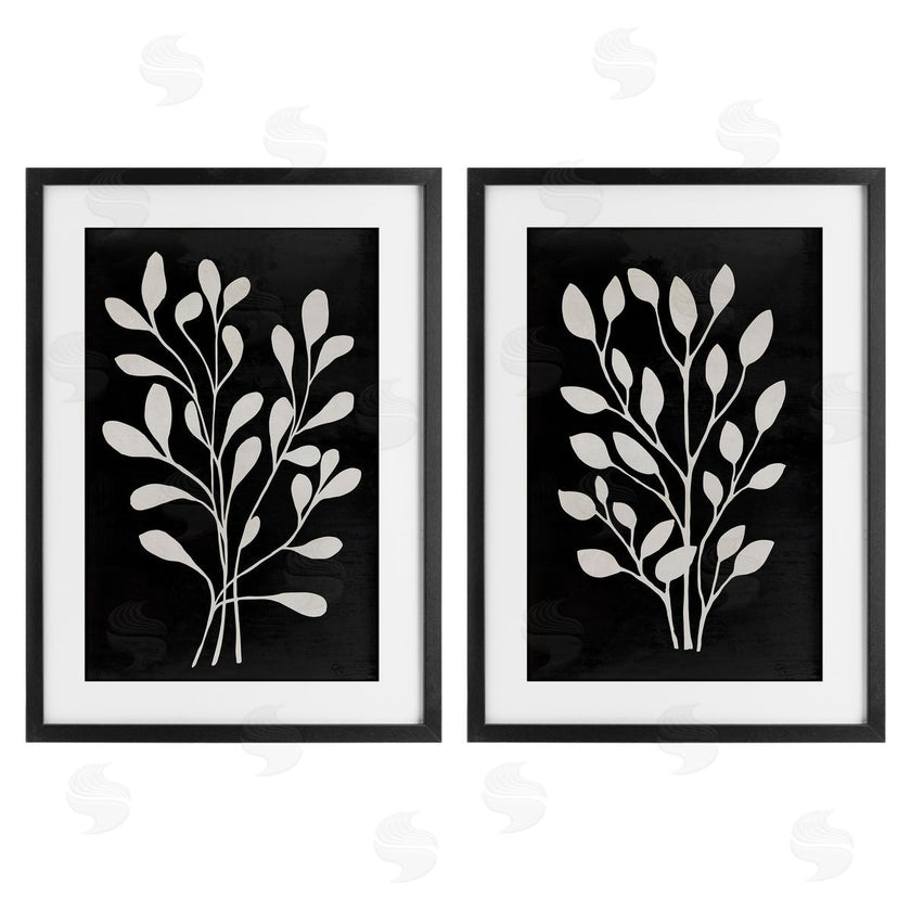 Andrea Haase | Leaf Whispers Botanicals