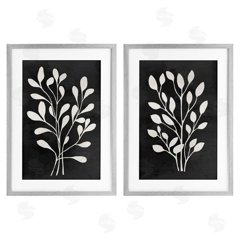 Andrea Haase | Leaf Whispers Botanicals