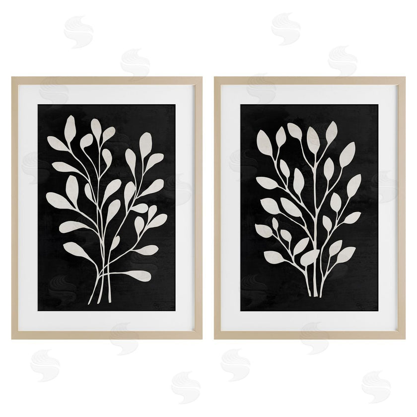 Andrea Haase | Leaf Whispers Botanicals