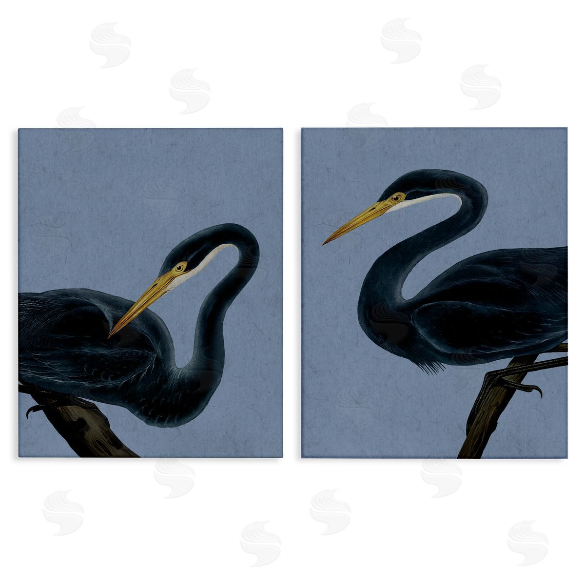 Grace Popp Black Heron Birds Canvas Wall Art Print
