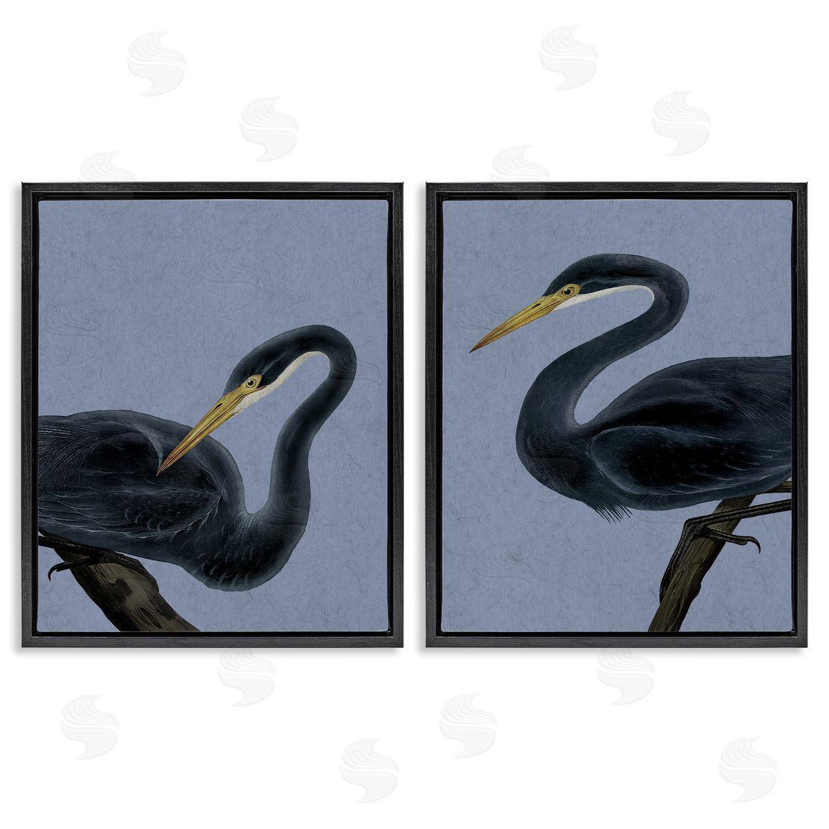 Grace Popp Black Heron Birds Canvas Wall Art Print