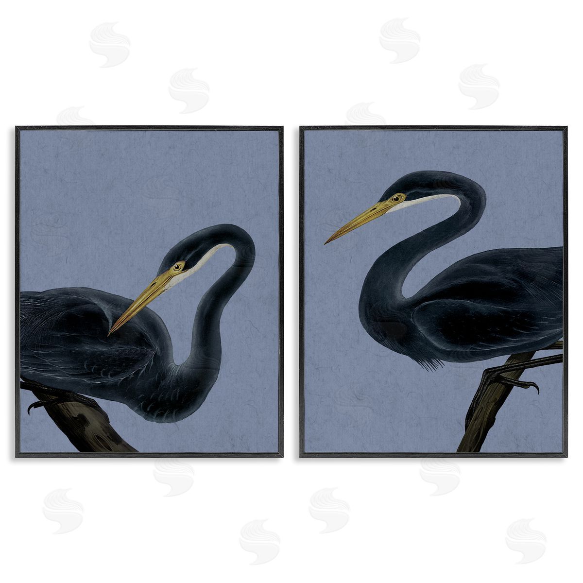 Grace Popp Black Heron Birds Canvas Wall Art Print