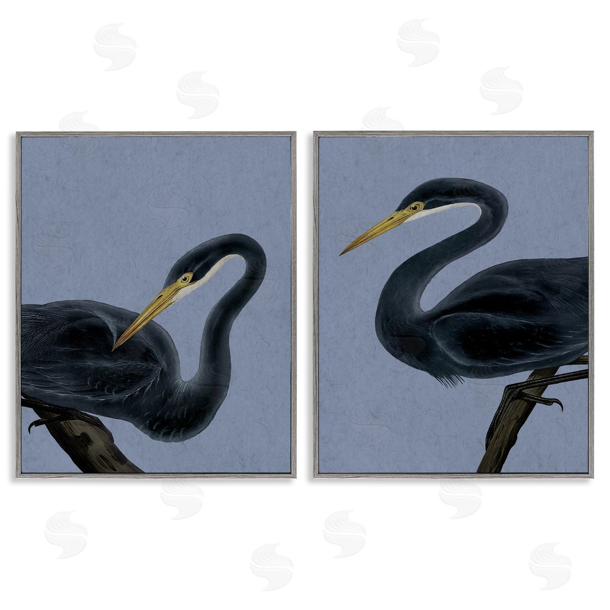 Grace Popp Black Heron Birds Canvas Wall Art Print